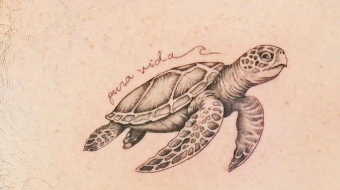 Turtle Tattoo